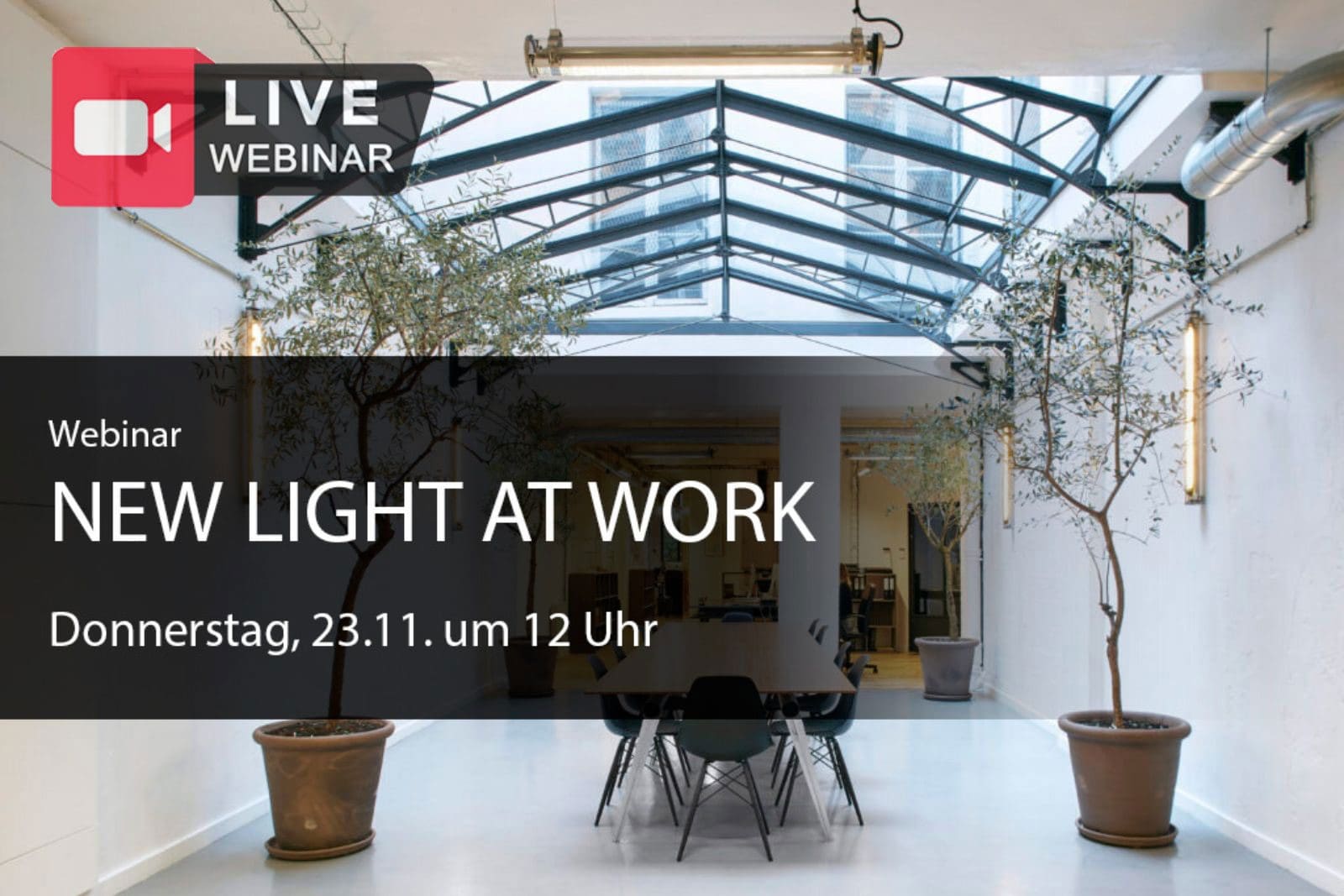 Webinar New Light at Work